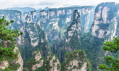 Tianzi Mountain